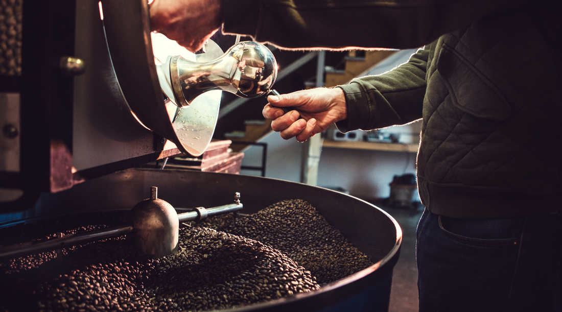 How to choose a speciality coffee roaster: 5 questions to ask